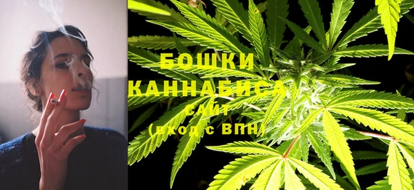 прущий лед Бронницы