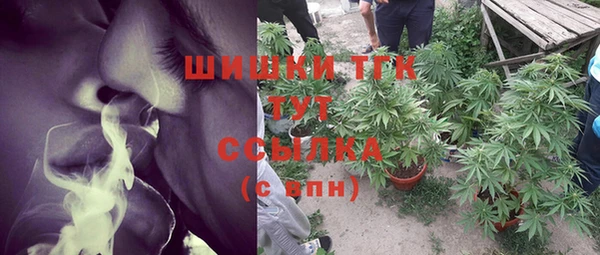 гидра Бугульма