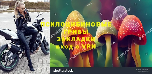 гидра Бугульма