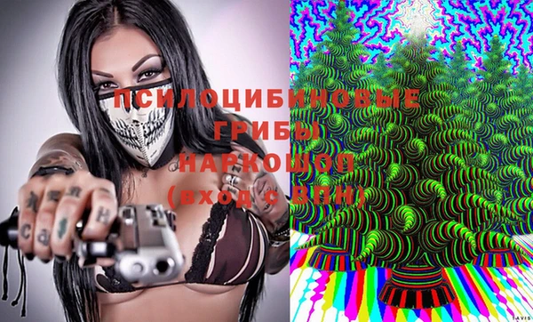 прущий лед Бронницы