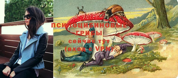 гидра Бугульма