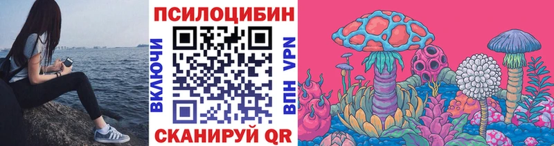 kraken ТОР  Новохопёрск  Галлюциногенные грибы Psilocybe 